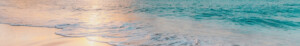 BAR banner